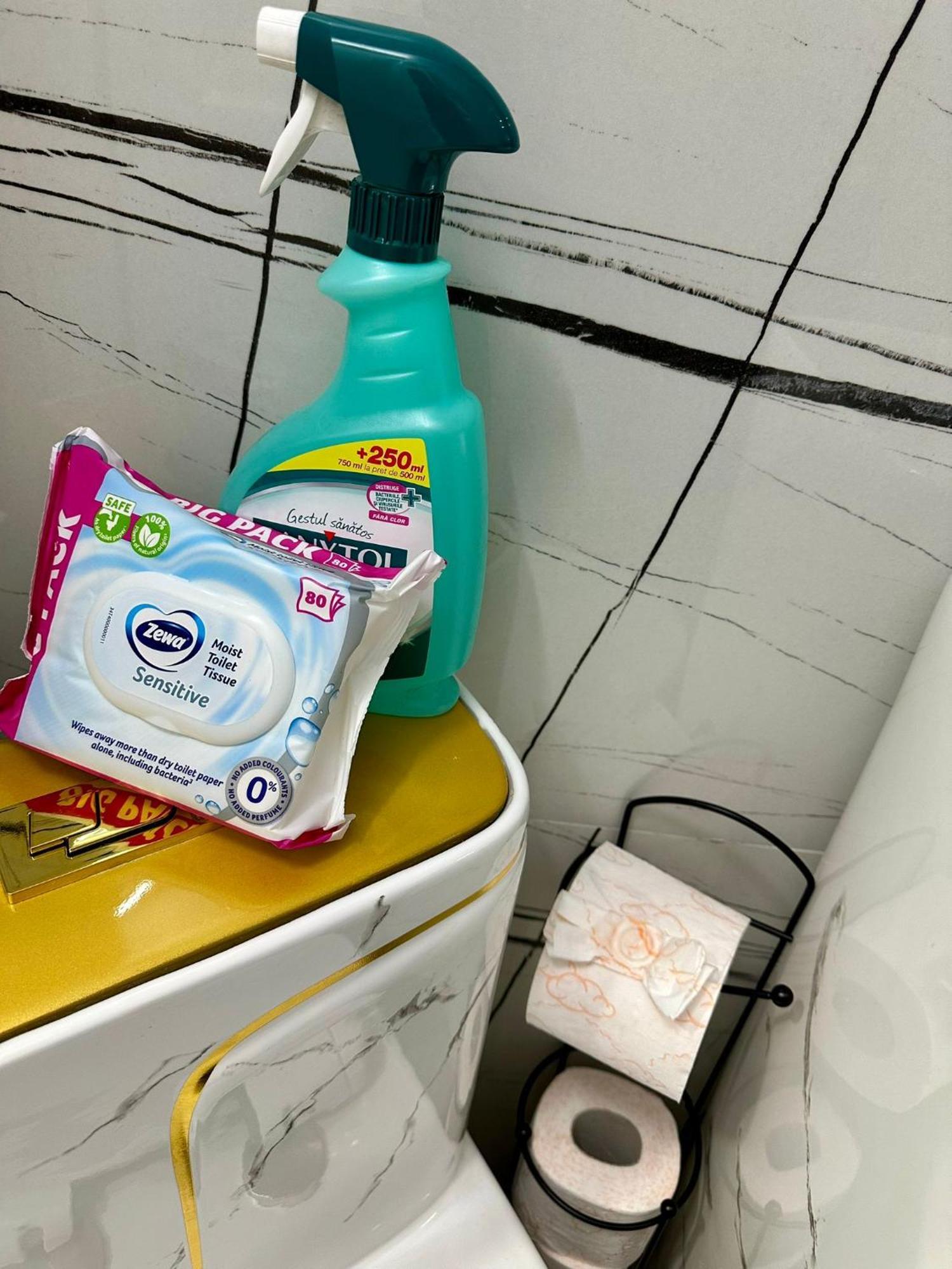 Evelyn Apartment Bistriţa المظهر الخارجي الصورة